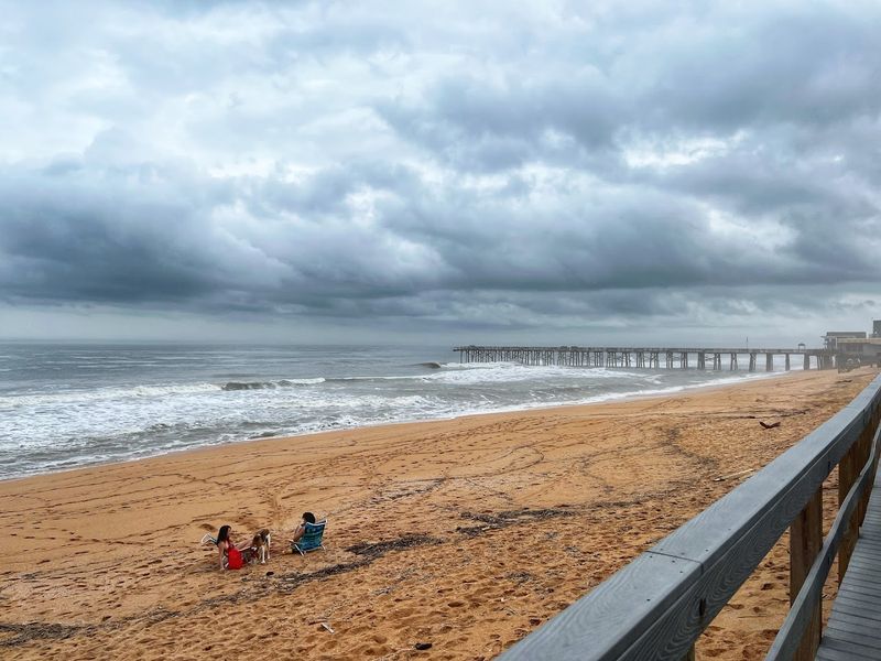 Why Flagler Beach Is a Fossil Hunter's Paradise