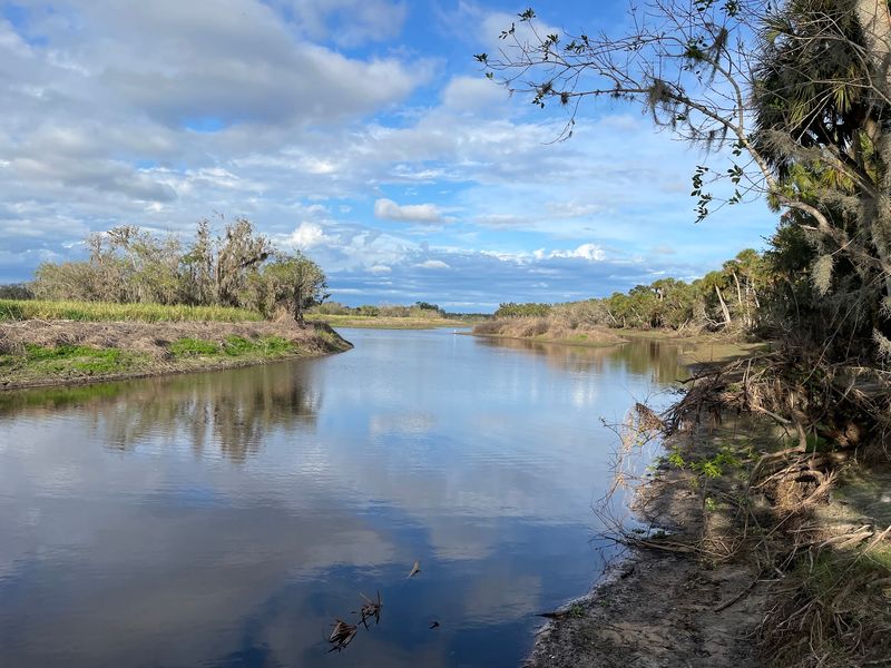 Myakka River State Park (Sarasota)