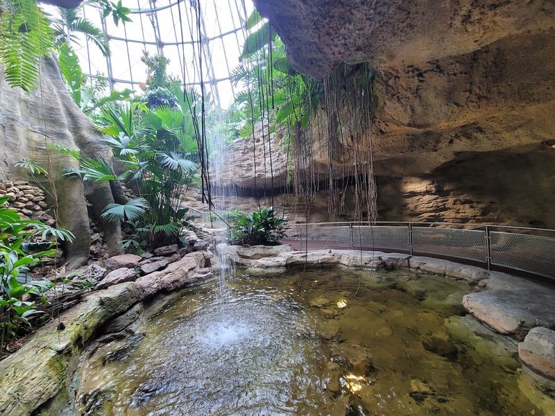 Family Friendly Game Plan