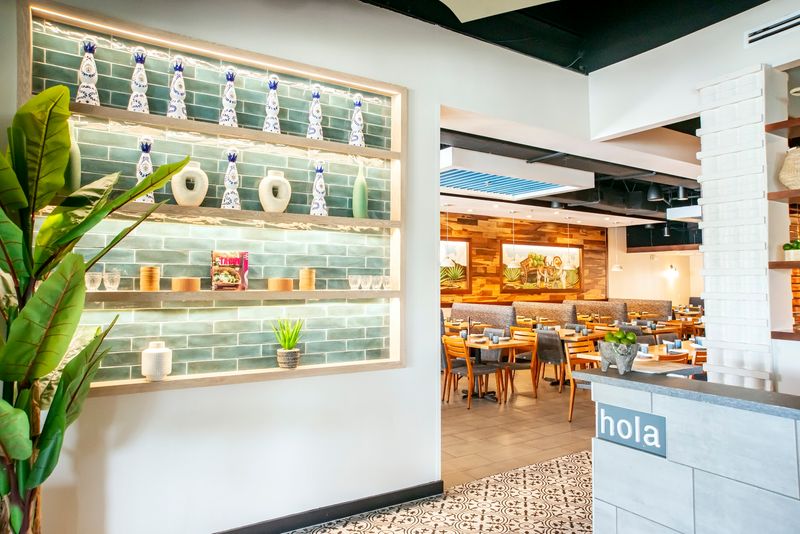 Agave Azul Kirkman (Orlando)