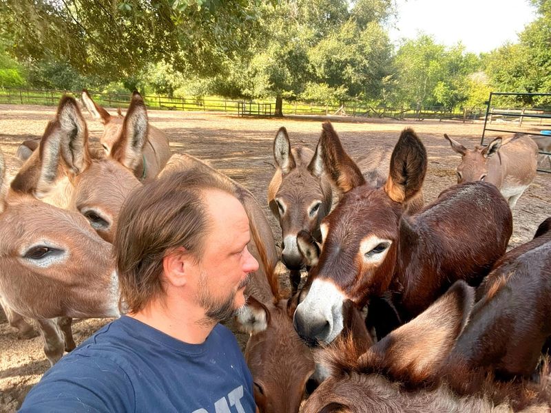 Meet the Miniature Donkeys Who Act Like Puppies