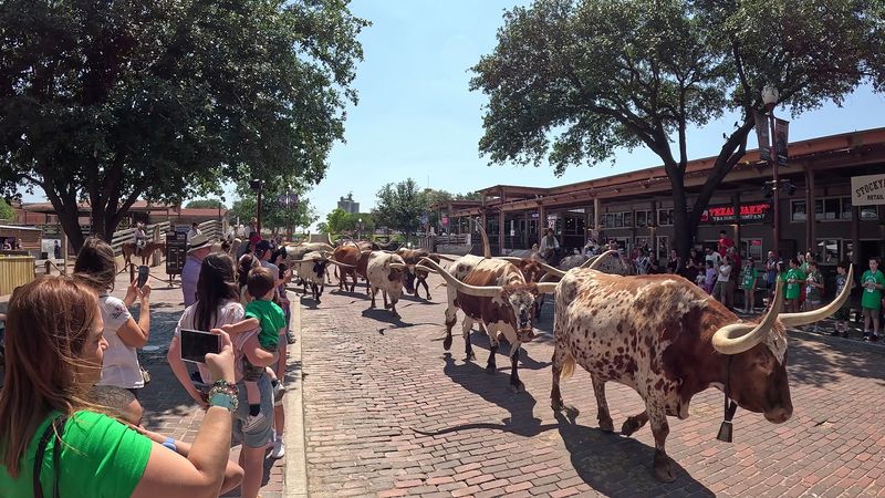 Vibrant Stockyards District Surrounds the Experience