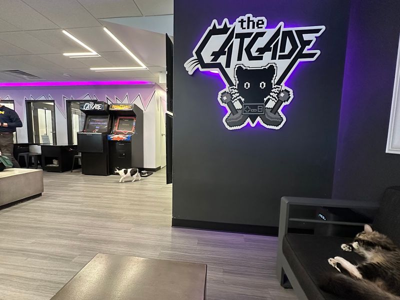 How Reservations, Pricing, and Hours Work