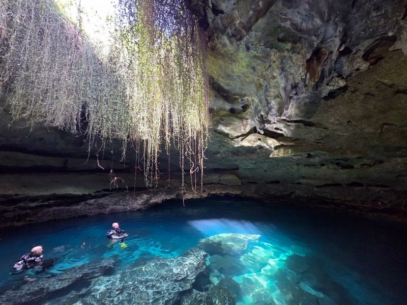 Devil's Den Prehistoric Spring