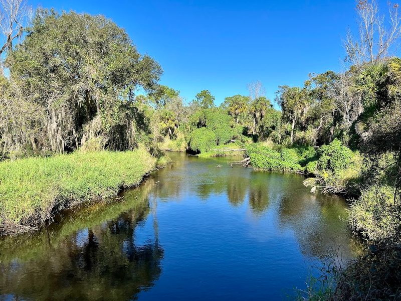 Trails That Capture Old Florida's Soul