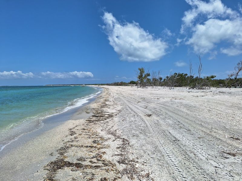 Nine Miles of Uncrowded Beach Perfection
