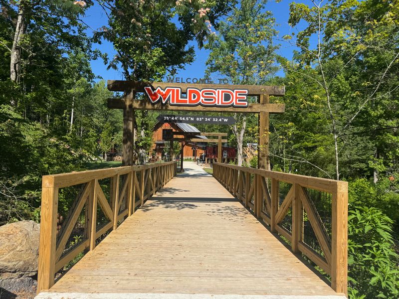 How To Plan Your MegaZip Day