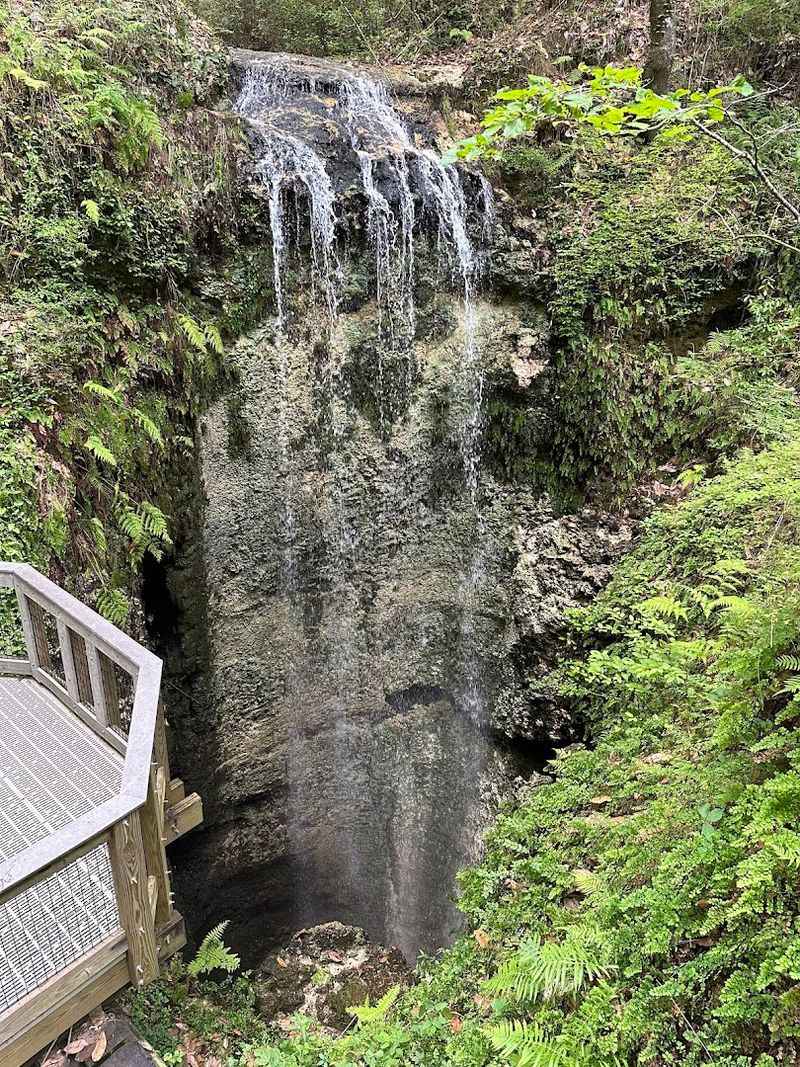 Chase Waterfalls At Falling Waters State Park (Chipley)