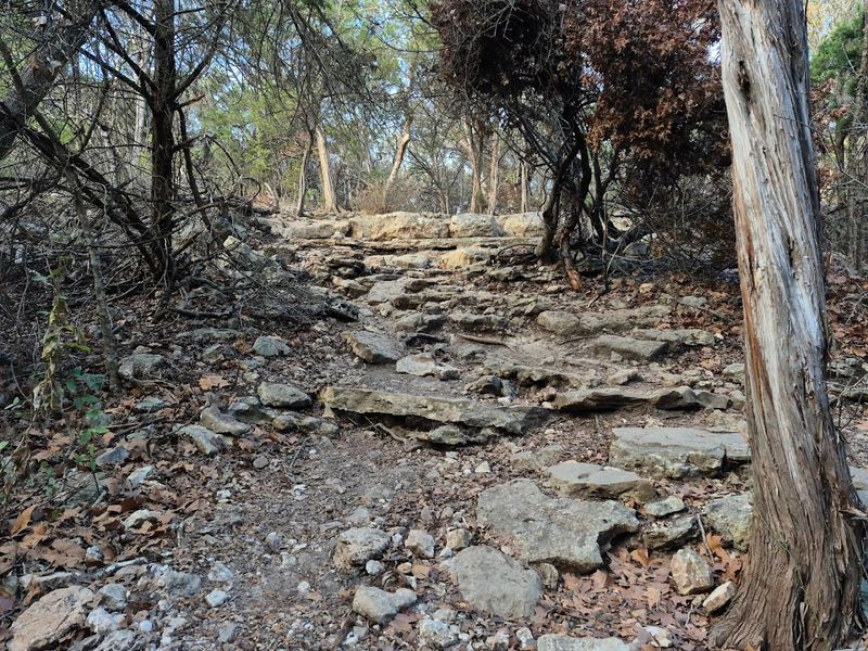 Rocky, Uneven Terrain That Demands Respect