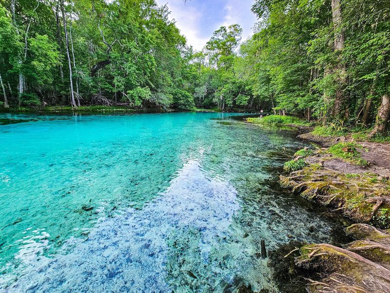 Gilchrist Blue Springs State Park (High Springs)