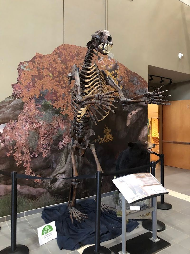 What Makes the Gray Fossil Site So Unique