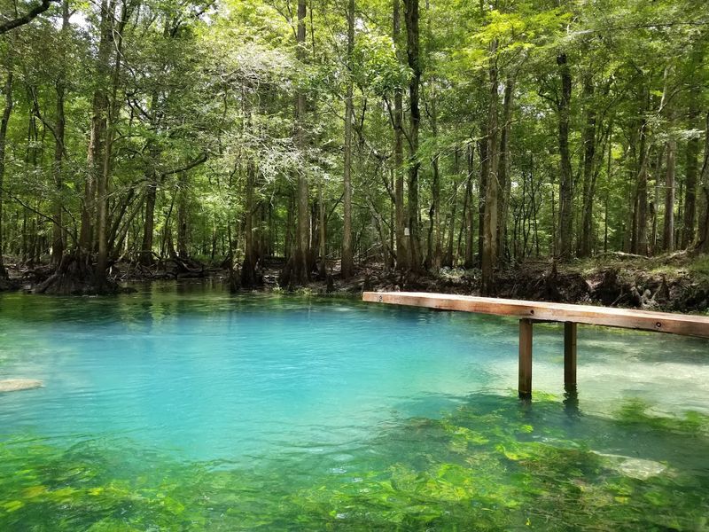 Blue Hole Spring and River Activities