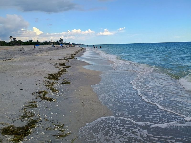 Quiet, Shell-Strewn Gulf Beach