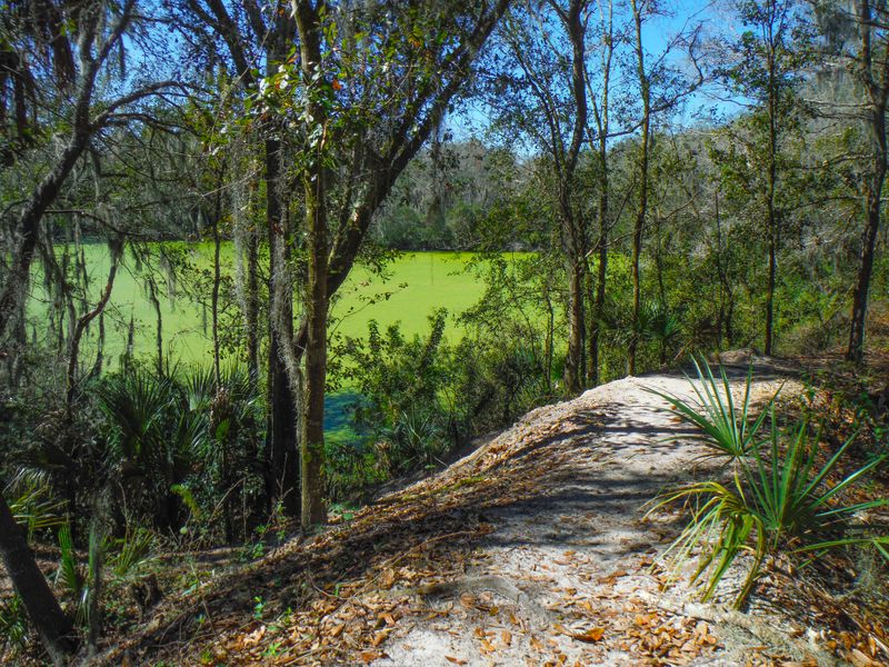 Abundant Wildlife Watching Opportunities Throughout the Park