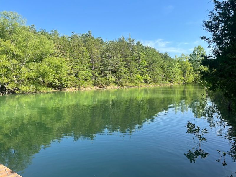 Douglas Lake