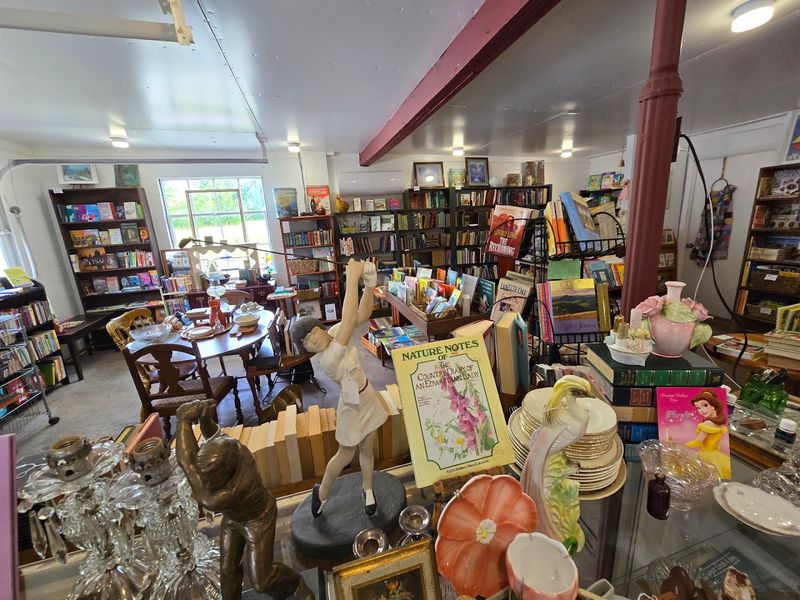 Why Louisville Books and Antiques Feels Like a Dream for Treasure Hunters