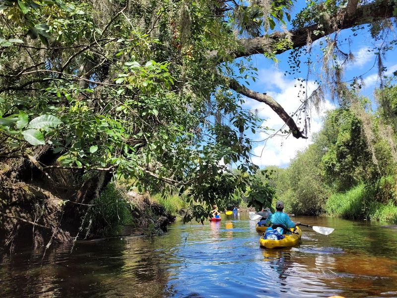 A Winding River That Defines the Whole Experience