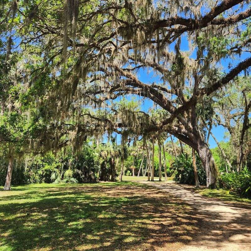 A Five-Dollar Bargain That Puts Expensive Attractions To Shame
