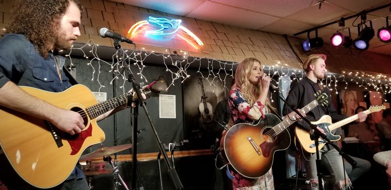 Why The Bluebird Still Matters Today