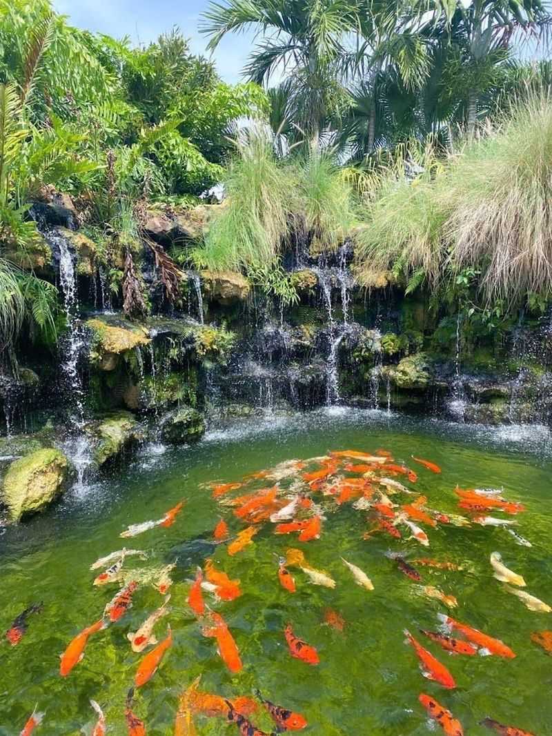 Finding Your Way to Miami's Hidden Gem