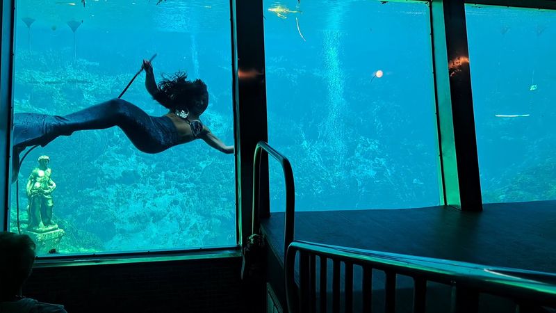 Weeki Wachee: Yes, the Mermaids Are Real
