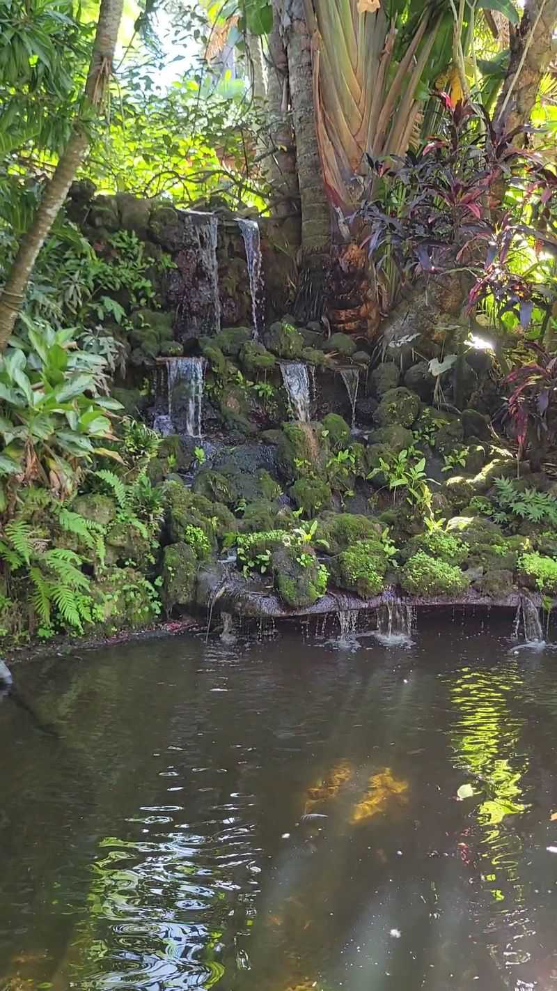 Tropical Waterfalls and Meandering Paths