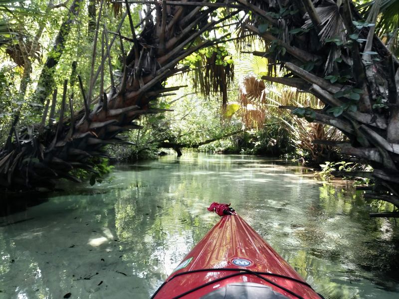 Juniper Springs Recreation Area (Silver Springs)