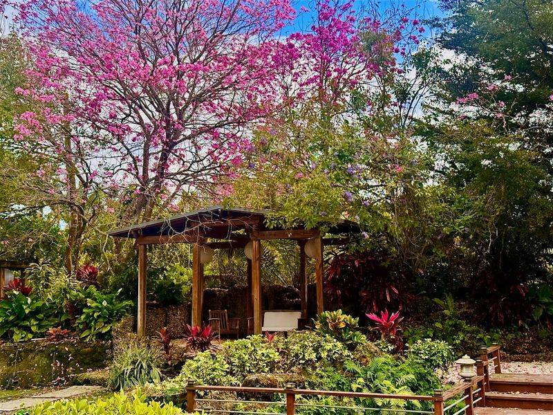 Perfect Escape for Meditation and Wellness