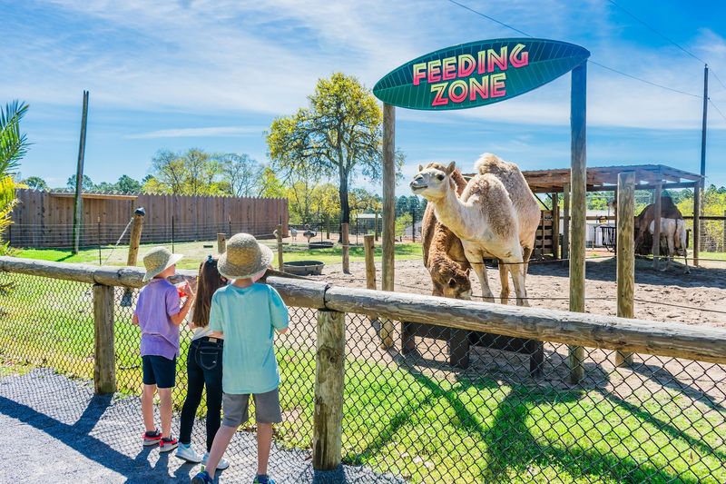 Year-Round Access With Annual Memberships