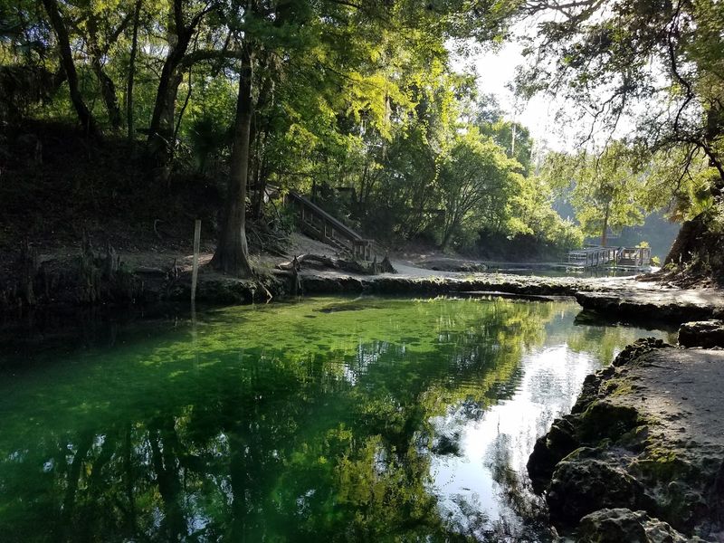 This Little-Known Florida State Park Has 72-Degree Water And Hardly Any Visitors