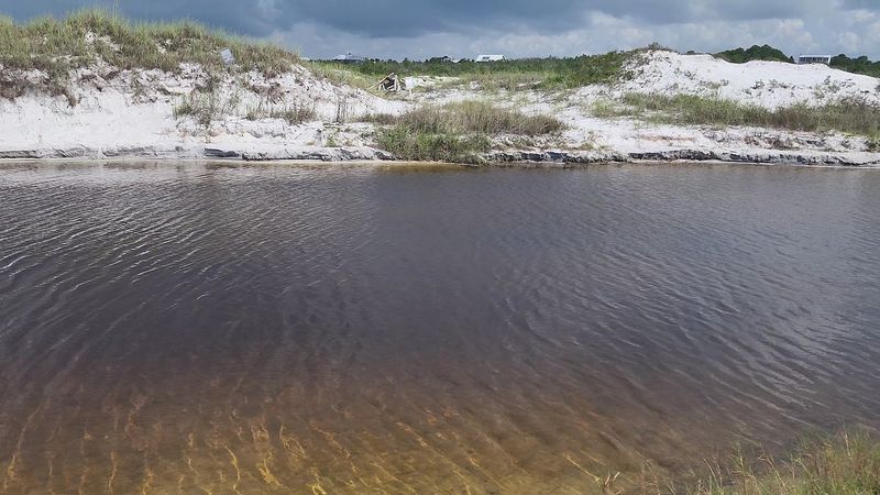 Coastal Dune Lakes Found Nowhere Else