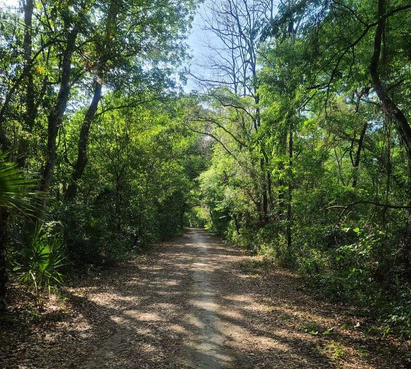 Challenging Hills That Surprise Road Cyclists