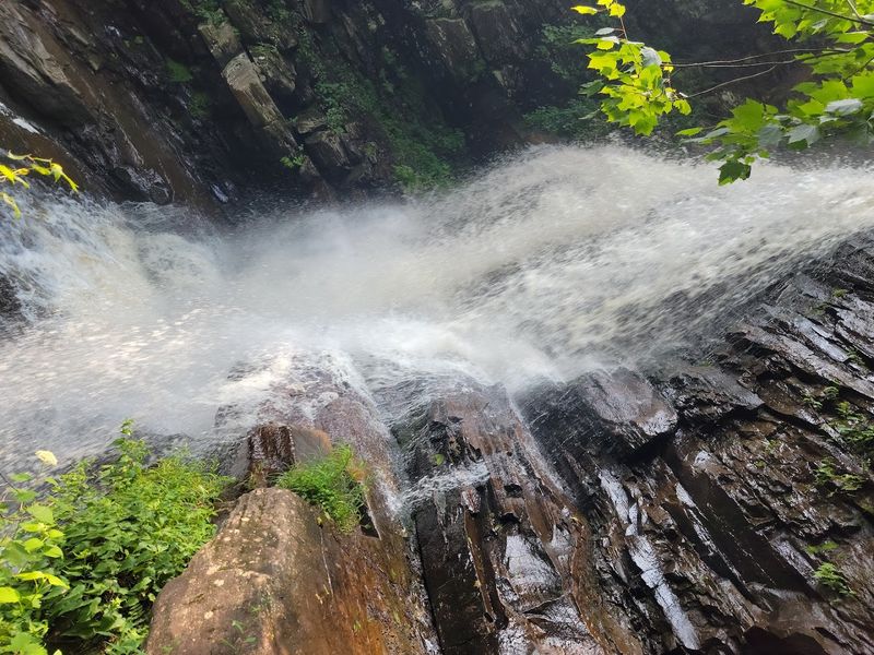 Wildlife, Flora, and Geology