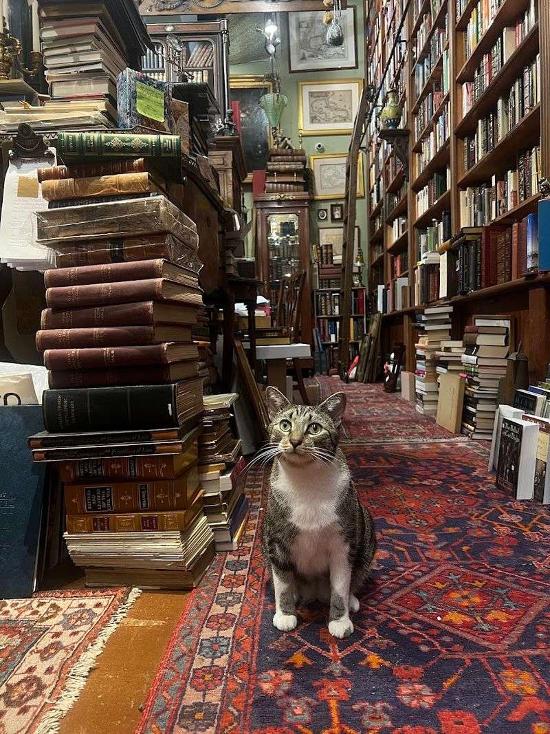 The Community Feel and Passionate Ownership