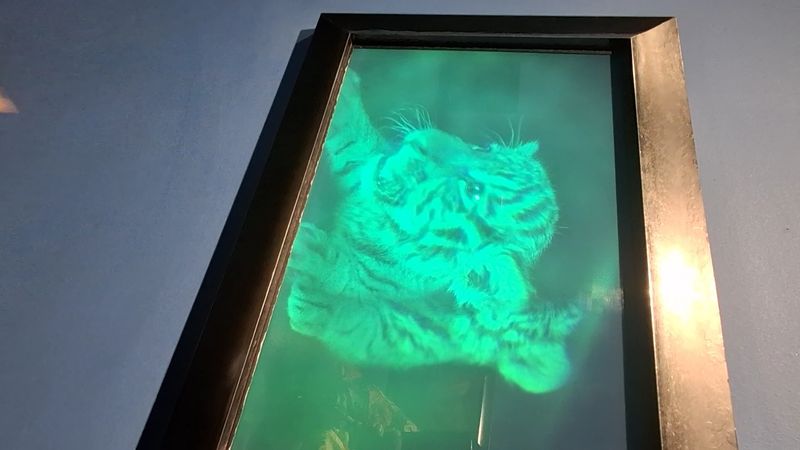 Holograms And Impossible Portraits