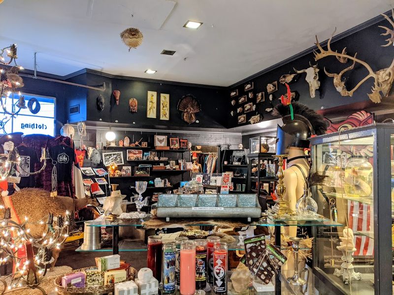 A first look inside Hail Dark Aesthetics