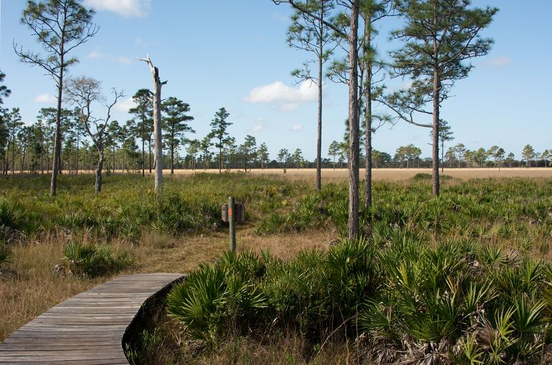 Three Lakes Wildlife Management Area — Osceola County