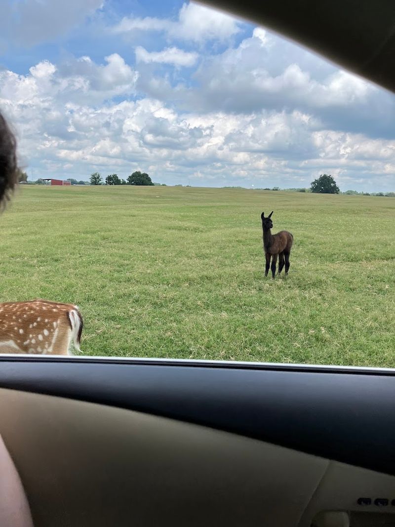 Accessibility and Comfort