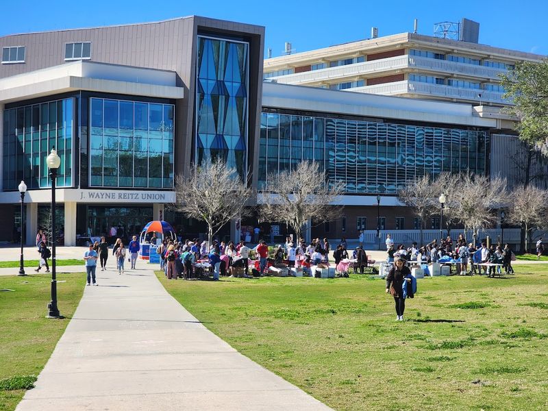 Healthcare Options That Work