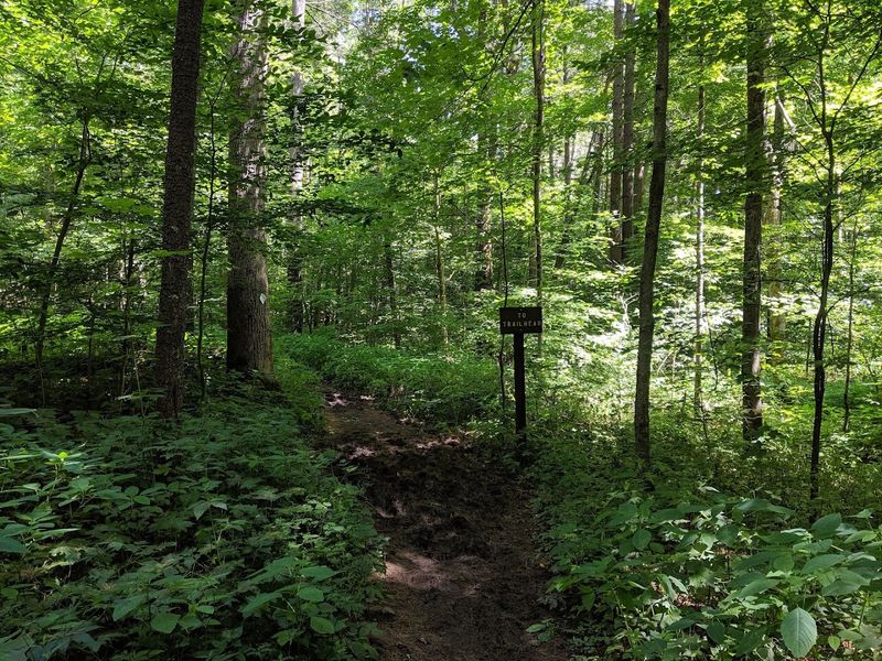 Practical Tips For A Hidden-Gem Escape