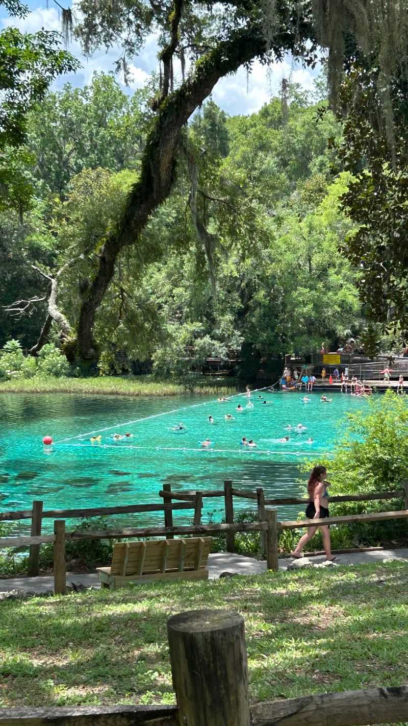 Rainbow Springs State Park (Dunnellon)