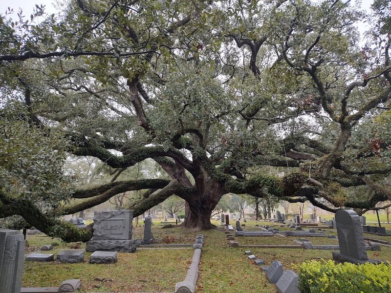 Peaceful Escape From Urban Chaos