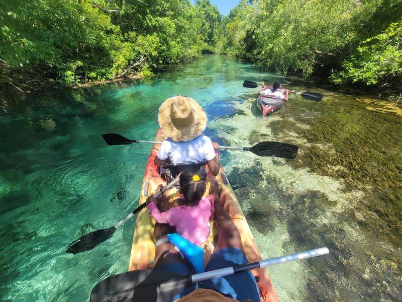 Paddle Through Crystal-Clear Water at Weeki Wachee Springs (Spring Hill)