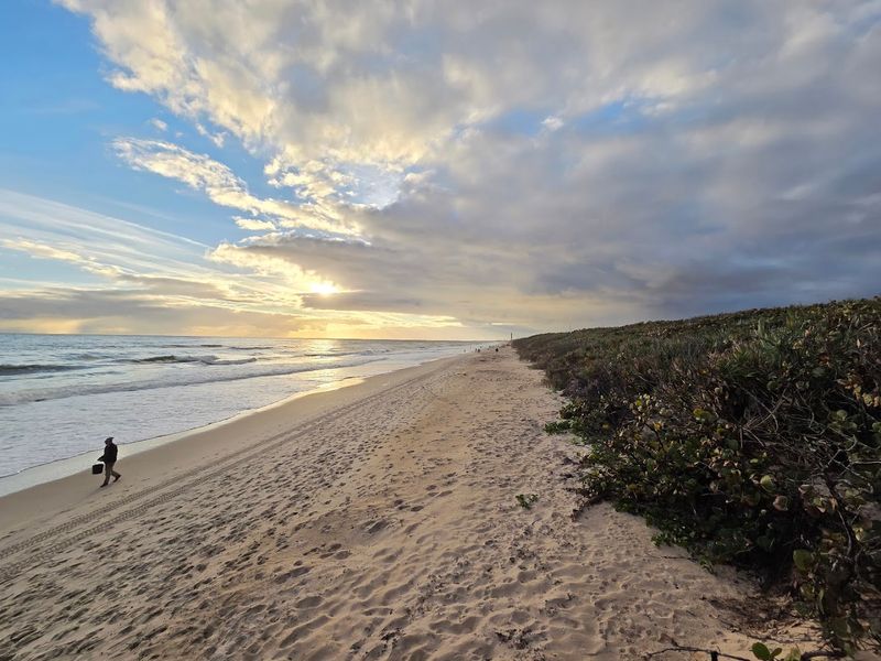 Canaveral National Seashore