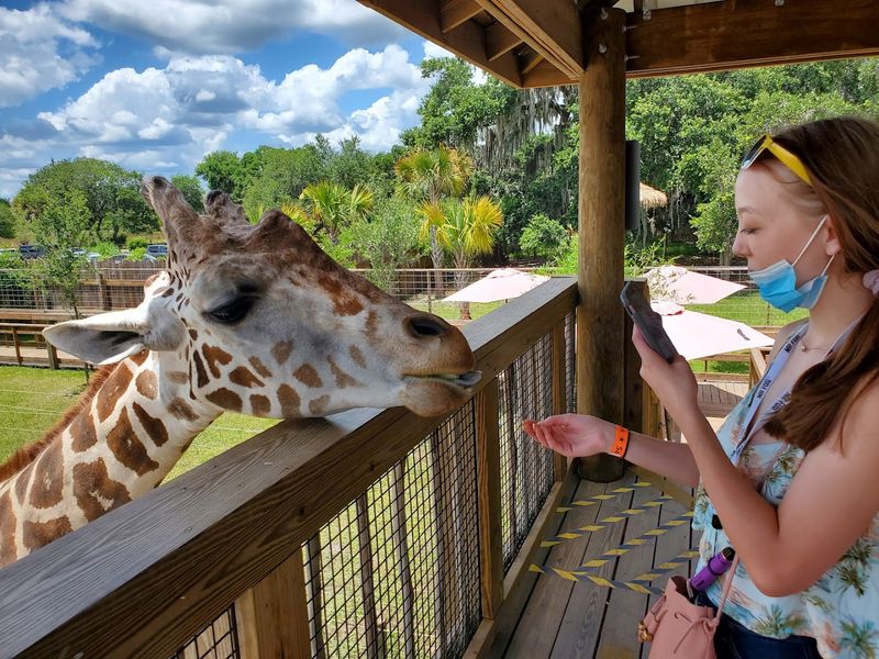 Wild Florida Adventure Park (Kenansville)