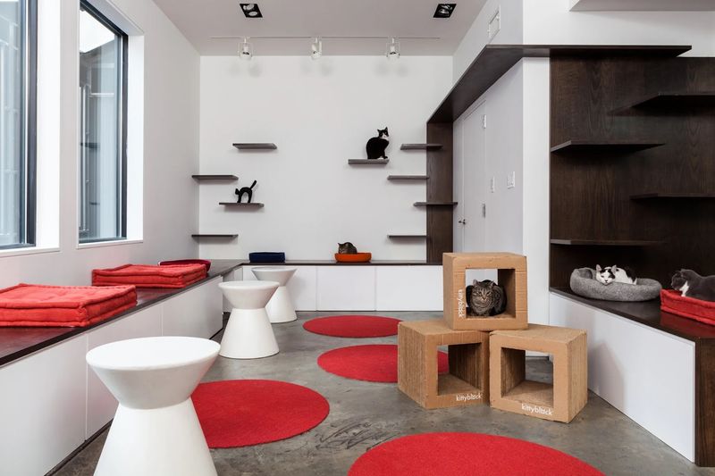 The Space: Three Levels And A Patio