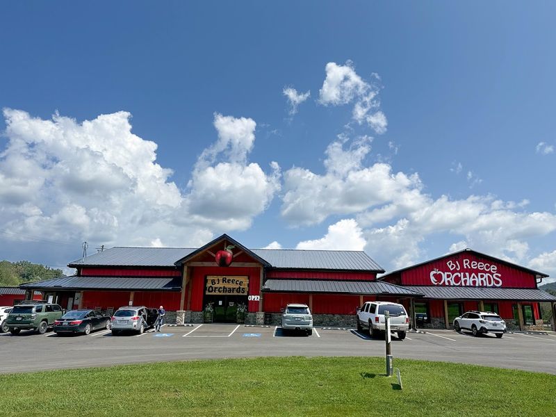 B.J. Reece Orchards (Ellijay)