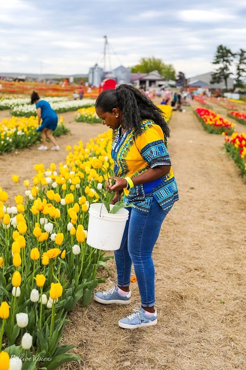 What to know before you visit Brown Hill Farms