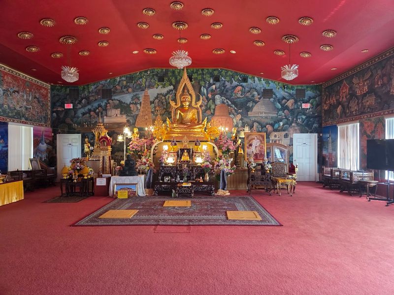 Daily Meditation Sessions Welcome Complete Beginners