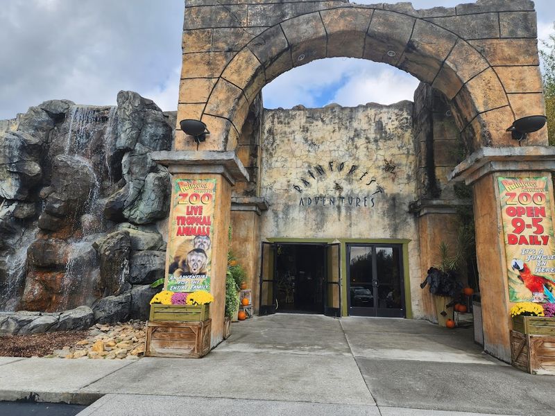 A Family-Friendly Stop Near the Smoky Mountains